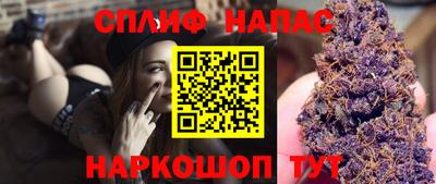 бошки Будённовск