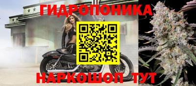 apvp Бузулук