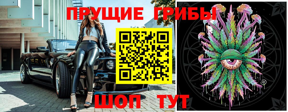Казань  дарнет шоп  Вход с VPN  Псилоцибиновые грибы Psilocybine cubensis 